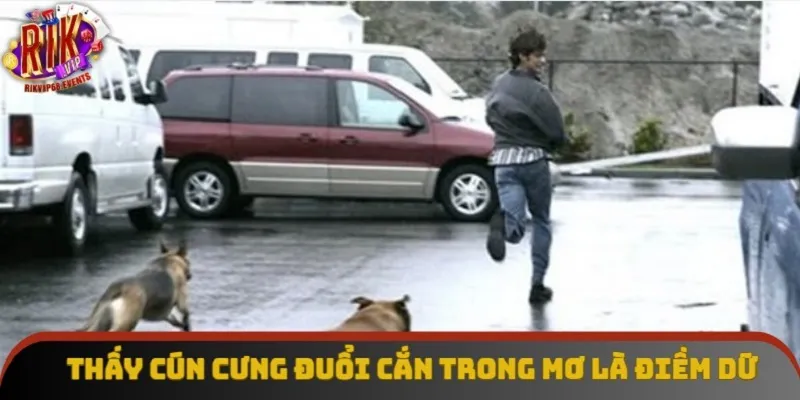 Thấy cún cưng đuổi cắn trong mơ là điềm dữ